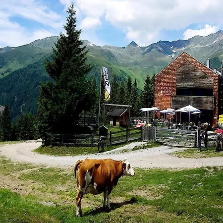 In Near Berger Alm * Navis